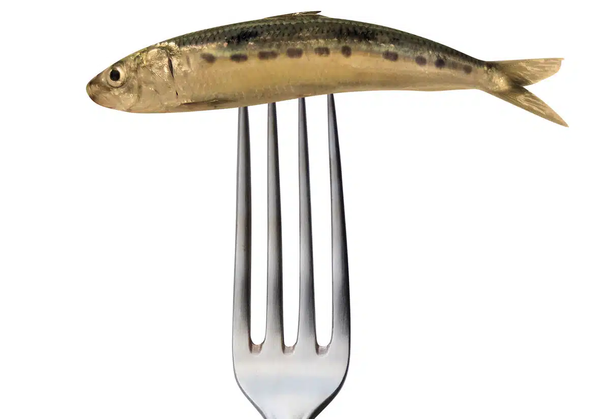 sindrome long covid chiropratica