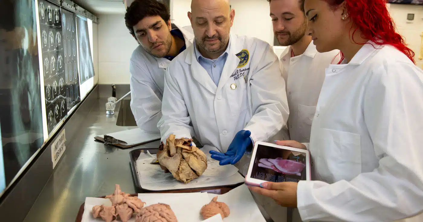 La formazione del chiropratico