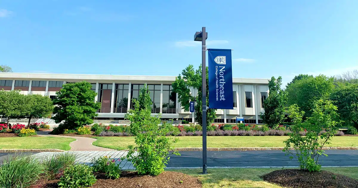 La formazione del chiropratico